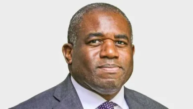 Photo of David Lammy Net Worth and Bio From Tottenham to Parliament